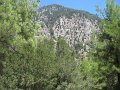 IMG_2175 - Copy